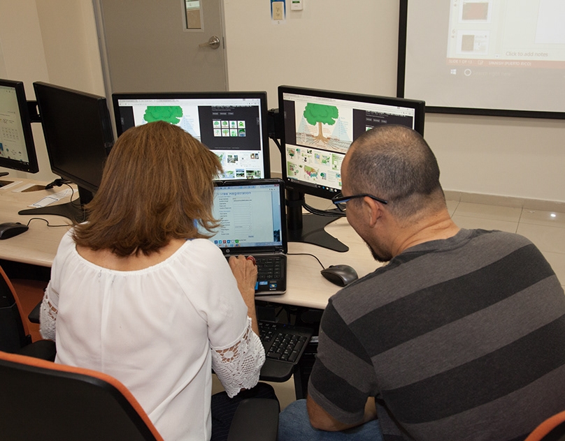 itree eco la huella ecologica de los bosque urbanos 228