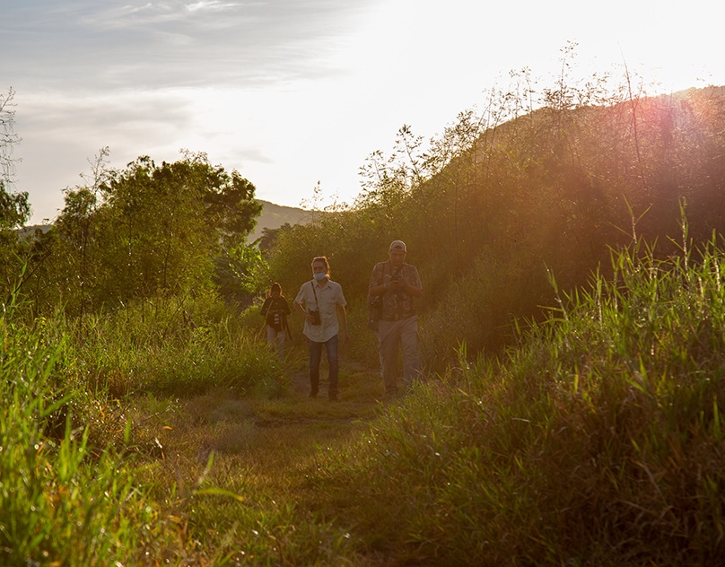 observacion de aves 301